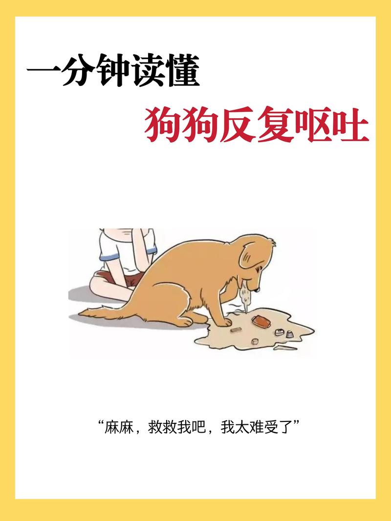 狗狗反胃干呕怎么回事,狗狗干呕想吐-第5张图片-后鲨宠物 狗狗反胃干呕怎么回事,狗狗干呕想吐-第5张图片-后鲨宠物
