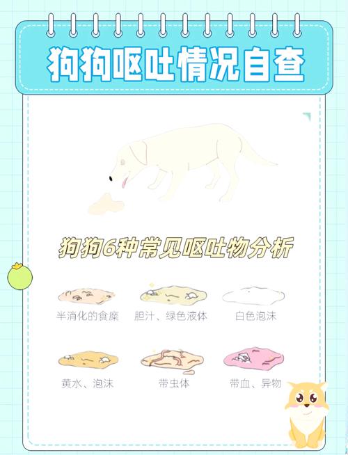 狗狗反胃干呕怎么回事,狗狗干呕想吐-第6张图片-后鲨宠物 狗狗反胃干呕怎么回事,狗狗干呕想吐-第6张图片-后鲨宠物
