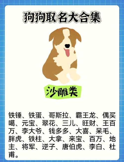 怎样给狗狗起名字,怎么给狗狗取名字?-第1张图片-后鲨宠物 怎样给狗狗起名字,怎么给狗狗取名字?-第1张图片-后鲨宠物