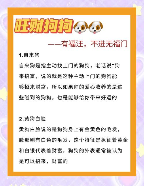 怎样给狗狗起名字,怎么给狗狗取名字?-第5张图片-后鲨宠物 怎样给狗狗起名字,怎么给狗狗取名字?-第5张图片-后鲨宠物