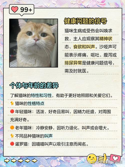 猫咪为什么老是叫,猫咪为什么老是叫人起床-第1张图片-后鲨宠物 猫咪为什么老是叫,猫咪为什么老是叫人起床-第1张图片-后鲨宠物