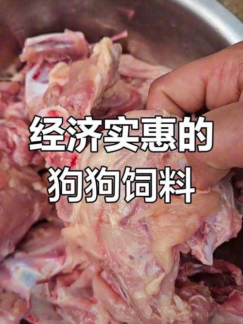 狗狗吃鸡架好不好,狗狗吃鸡架好吗?-第3张图片-后鲨宠物 狗狗吃鸡架好不好,狗狗吃鸡架好吗?-第3张图片-后鲨宠物