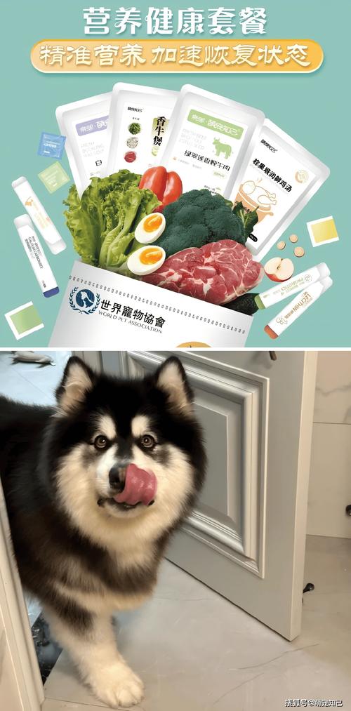 狗狗可以吃鸡蛋壳吗,狗狗可以吃鸡蛋壳吗?-第5张图片-后鲨宠物 狗狗可以吃鸡蛋壳吗,狗狗可以吃鸡蛋壳吗?-第5张图片-后鲨宠物