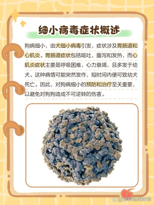 狗狗得细小会发烧吗,狗得细小会不会发烧?-第3张图片-后鲨宠物 狗狗得细小会发烧吗,狗得细小会不会发烧?-第3张图片-后鲨宠物