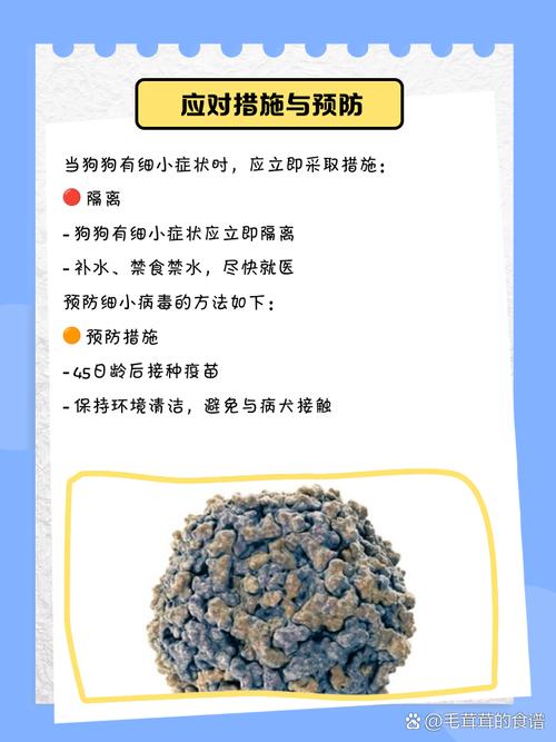 狗狗得细小会发烧吗,狗得细小会不会发烧?-第5张图片-后鲨宠物 狗狗得细小会发烧吗,狗得细小会不会发烧?-第5张图片-后鲨宠物