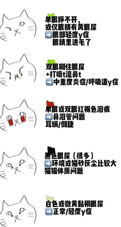  猫咪眼屎怎么清理，猫猫眼屎怎么处理-第4张图片-后鲨宠物