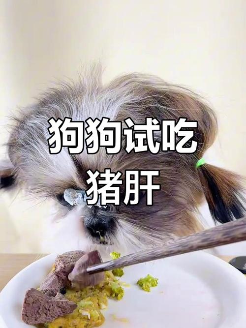 狗狗吃猪肝会中毒吗,狗吃猪肝会有什么后果-第4张图片-后鲨宠物 狗狗吃猪肝会中毒吗,狗吃猪肝会有什么后果-第4张图片-后鲨宠物
