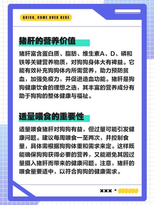 狗狗吃猪肝会中毒吗,狗吃猪肝会有什么后果-第3张图片-后鲨宠物 狗狗吃猪肝会中毒吗,狗吃猪肝会有什么后果-第3张图片-后鲨宠物