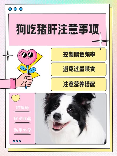 狗狗吃猪肝会中毒吗,狗吃猪肝会有什么后果-第6张图片-后鲨宠物 狗狗吃猪肝会中毒吗,狗吃猪肝会有什么后果-第6张图片-后鲨宠物