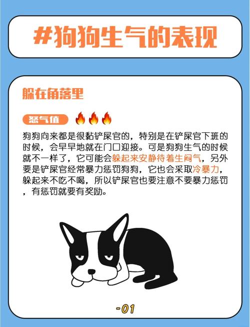 怎么哄狗狗开心,怎么哄哄小狗?-第4张图片-后鲨宠物 怎么哄狗狗开心,怎么哄哄小狗?-第4张图片-后鲨宠物