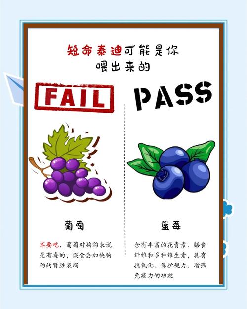 泰迪狗狗能吃巧克力吗_泰迪狗能吃巧克力蛋糕吗-第4张图片-后鲨宠物