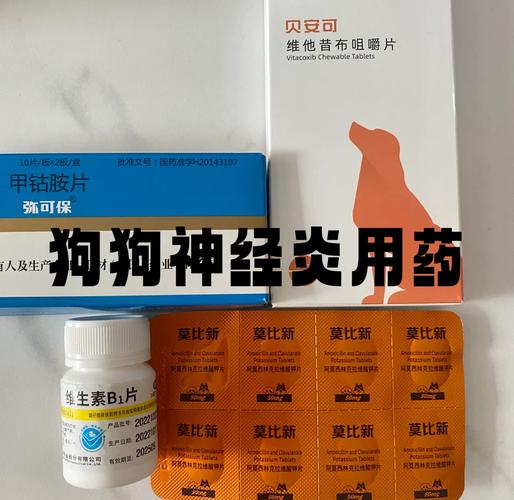  狗狗可以吃的消炎药，狗狗可以吃的消炎药有哪些?