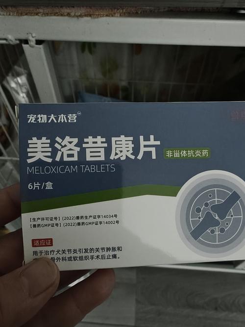  狗狗可以吃的消炎药，狗狗可以吃的消炎药有哪些?-第3张图片-后鲨宠物