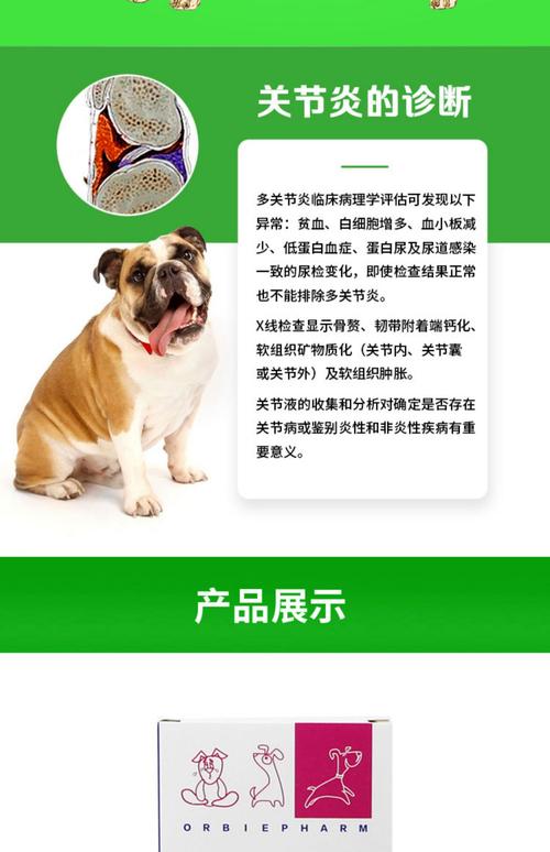  狗狗可以吃的消炎药，狗狗可以吃的消炎药有哪些?-第6张图片-后鲨宠物