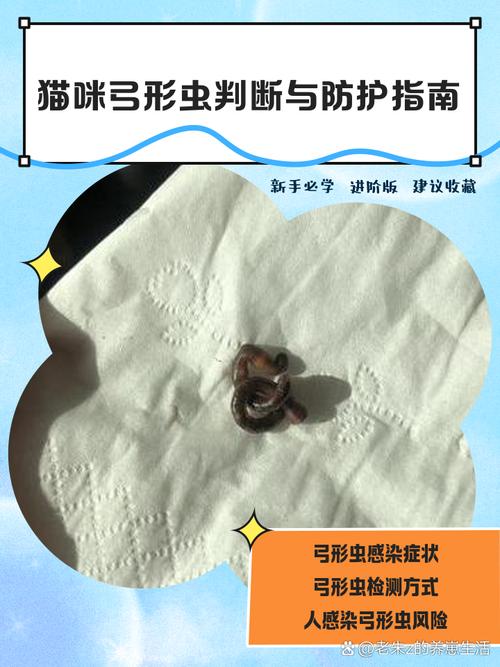 猫咪弓形虫检测,猫咪弓形虫检测方法-第2张图片-后鲨宠物 猫咪弓形虫检测,猫咪弓形虫检测方法-第2张图片-后鲨宠物