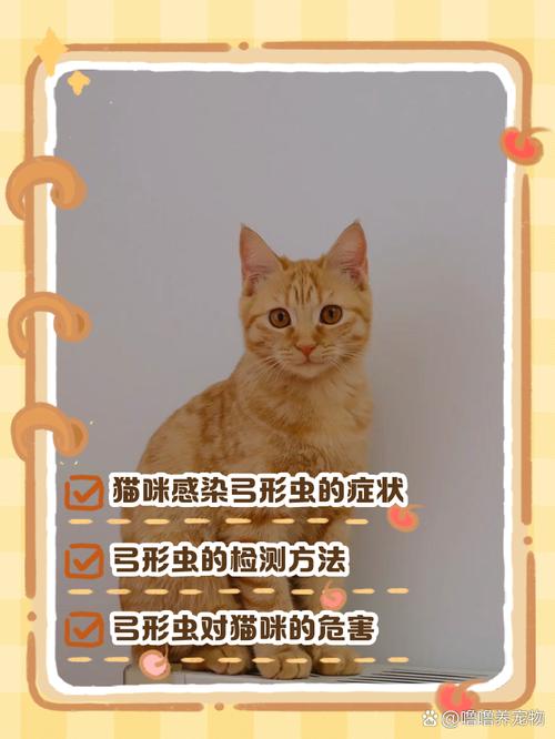 猫咪弓形虫检测,猫咪弓形虫检测方法-第3张图片-后鲨宠物 猫咪弓形虫检测,猫咪弓形虫检测方法-第3张图片-后鲨宠物