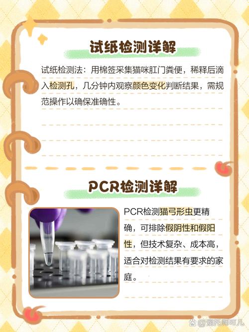 猫咪弓形虫检测,猫咪弓形虫检测方法-第4张图片-后鲨宠物 猫咪弓形虫检测,猫咪弓形虫检测方法-第4张图片-后鲨宠物