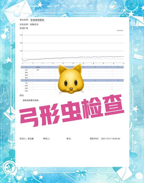 猫咪弓形虫检测,猫咪弓形虫检测方法-第5张图片-后鲨宠物 猫咪弓形虫检测,猫咪弓形虫检测方法-第5张图片-后鲨宠物