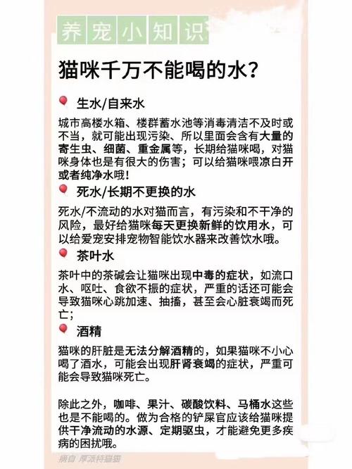 小猫咪喝什么水,小猫咪喝什么水不长寄生虫?-第1张图片-后鲨宠物 小猫咪喝什么水,小猫咪喝什么水不长寄生虫?-第1张图片-后鲨宠物