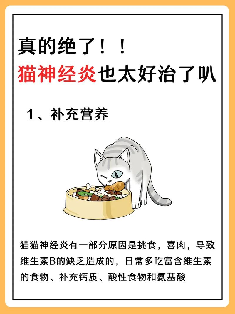 猫咪神经受损吃什么药,猫咪神经受损吃什么药管用?-第1张图片-后鲨宠物 猫咪神经受损吃什么药,猫咪神经受损吃什么药管用?-第1张图片-后鲨宠物