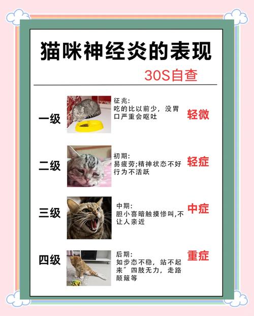 猫咪神经受损吃什么药,猫咪神经受损吃什么药管用?-第2张图片-后鲨宠物 猫咪神经受损吃什么药,猫咪神经受损吃什么药管用?-第2张图片-后鲨宠物