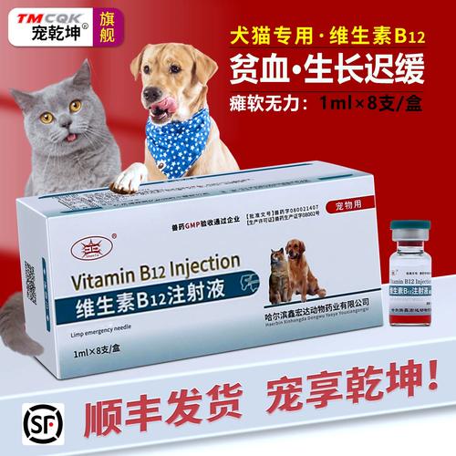 猫咪神经受损吃什么药,猫咪神经受损吃什么药管用?-第3张图片-后鲨宠物 猫咪神经受损吃什么药,猫咪神经受损吃什么药管用?-第3张图片-后鲨宠物