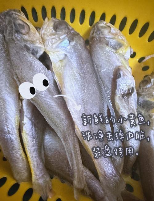 狗狗能吃鱼干吗,狗狗可以吃鱼肉干吗-第3张图片-后鲨宠物 狗狗能吃鱼干吗,狗狗可以吃鱼肉干吗-第3张图片-后鲨宠物