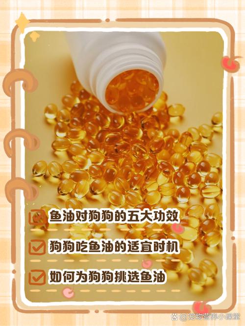 狗狗吃鱼油有什么好处_鱼油多久给狗吃一次-第5张图片-后鲨宠物 狗狗吃鱼油有什么好处_鱼油多久给狗吃一次-第5张图片-后鲨宠物