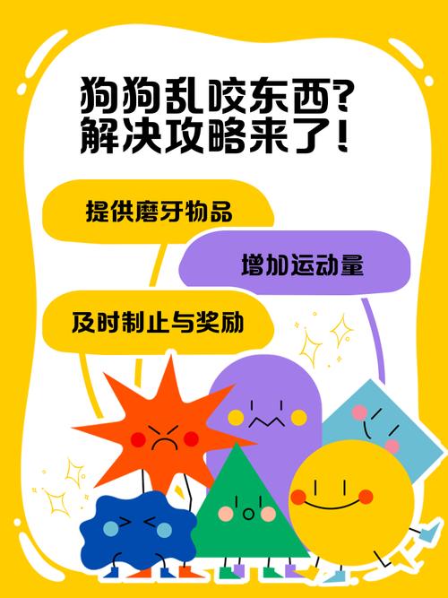 狗狗多大不乱咬东西_狗狗最难养的几个月-第2张图片-后鲨宠物