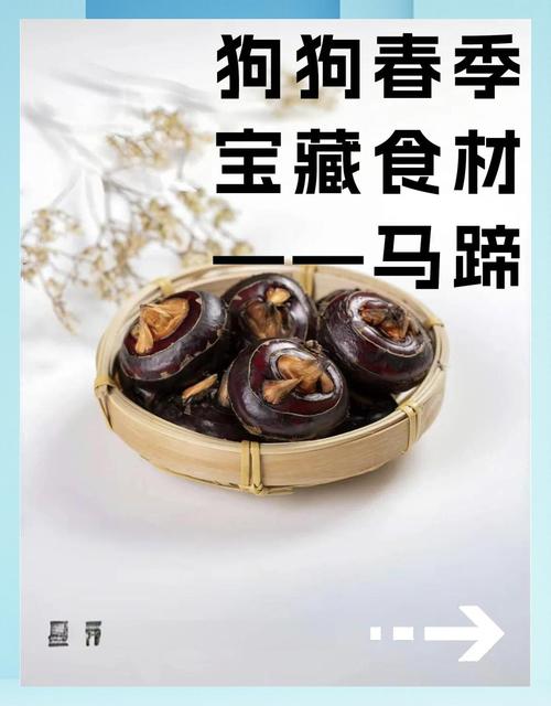 狗狗能吃荸荠吗_狗狗能吃荸荠吗?-第4张图片-后鲨宠物 狗狗能吃荸荠吗_狗狗能吃荸荠吗?-第4张图片-后鲨宠物