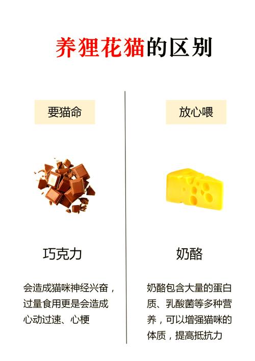 猫猫能吃酸奶吗,猫猫能吃酸奶吗 Ad钙-第4张图片-后鲨宠物 猫猫能吃酸奶吗,猫猫能吃酸奶吗 Ad钙-第4张图片-后鲨宠物