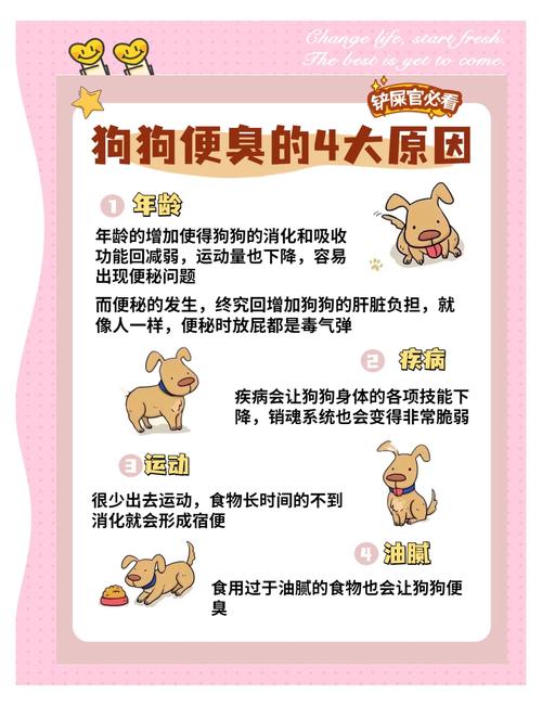 狗狗拉屎很臭怎么办,狗狗拉屎很臭怎么办??-第4张图片-后鲨宠物 狗狗拉屎很臭怎么办,狗狗拉屎很臭怎么办??-第4张图片-后鲨宠物