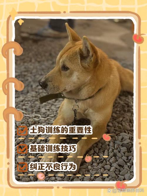 怎么训练狗狗坐下_怎么训练狗狗坐下和握手