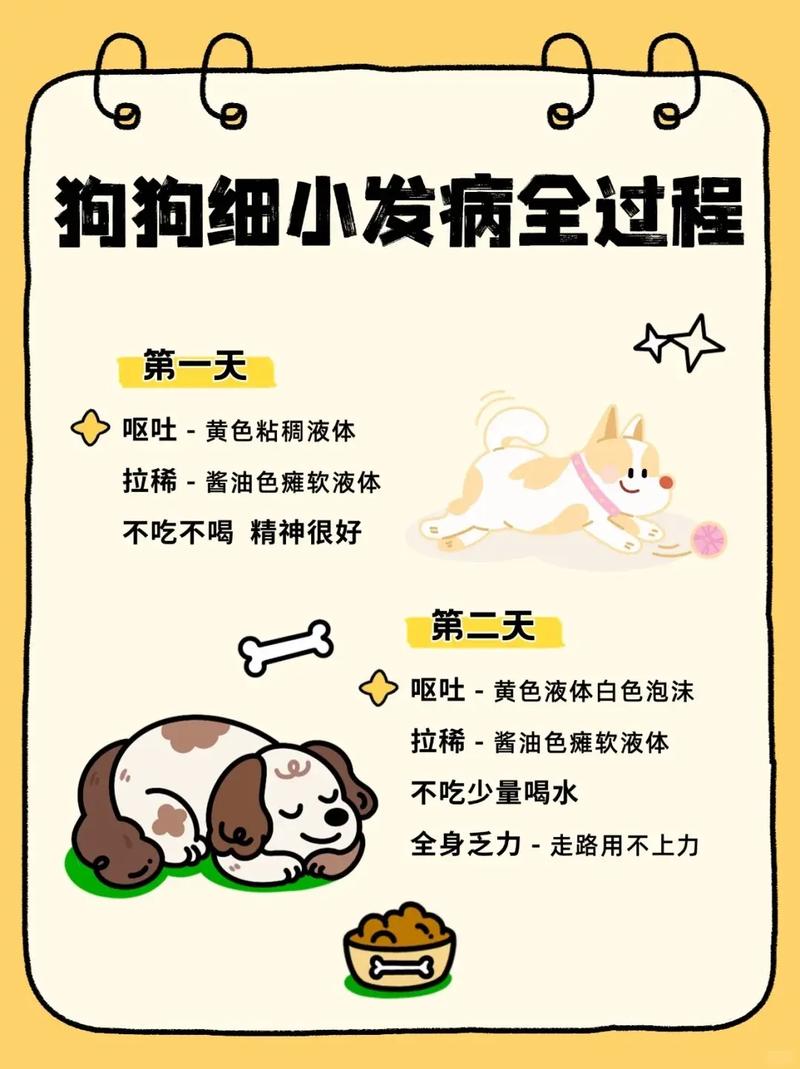 狗狗得细小的征兆,狗狗得细小的症状原因?-第5张图片-后鲨宠物 狗狗得细小的征兆,狗狗得细小的症状原因?-第5张图片-后鲨宠物