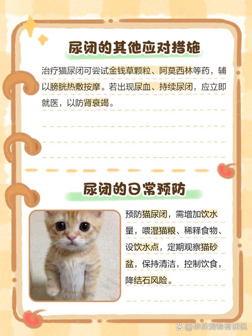 猫咪吃三金片用量_给猫咪吃三金片一次吃多少-第5张图片-后鲨宠物