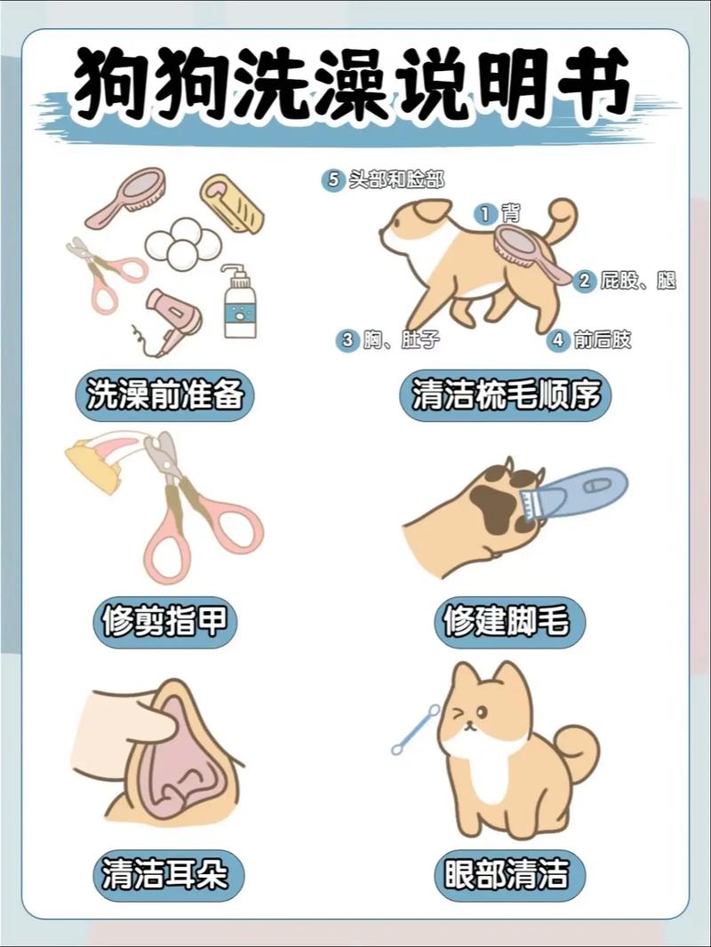  2个月的狗狗能洗澡吗，两个月大的狗狗可以洗澡了吗-第2张图片-后鲨宠物