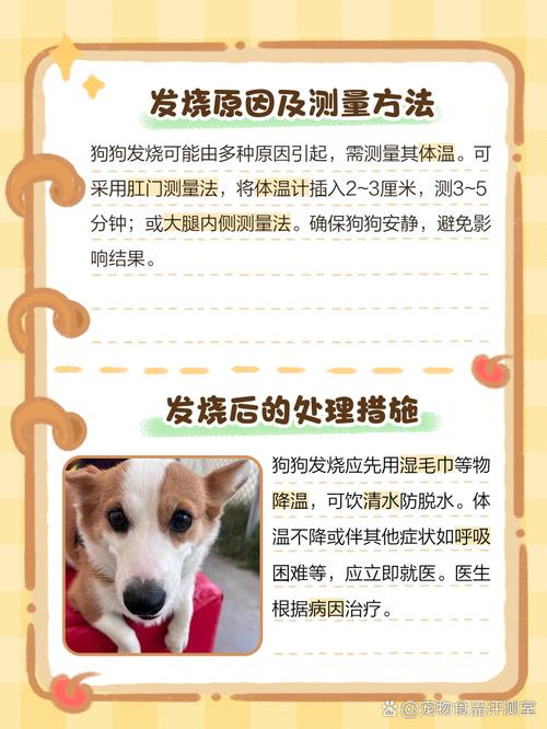 狗狗多少度发烧_狗狗多少度算发烧?