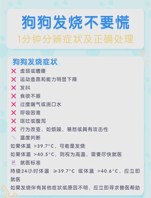 狗狗多少度发烧_狗狗多少度算发烧?-第2张图片-后鲨宠物 狗狗多少度发烧_狗狗多少度算发烧?-第2张图片-后鲨宠物