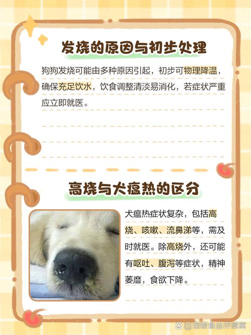 狗狗多少度发烧_狗狗多少度算发烧?-第3张图片-后鲨宠物 狗狗多少度发烧_狗狗多少度算发烧?-第3张图片-后鲨宠物