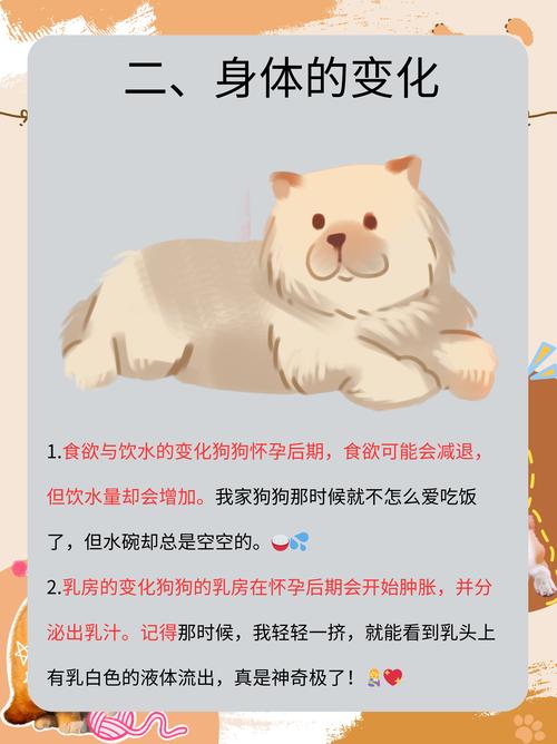 狗狗临产前的表现,母狗快要生的征兆?-第5张图片-后鲨宠物 狗狗临产前的表现,母狗快要生的征兆?-第5张图片-后鲨宠物