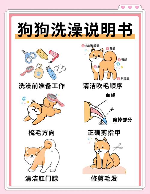 宠物店给狗狗洗澡流程,宠物店是如何给狗洗澡-第3张图片-后鲨宠物 宠物店给狗狗洗澡流程,宠物店是如何给狗洗澡-第3张图片-后鲨宠物