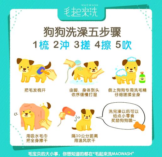 宠物店给狗狗洗澡流程,宠物店是如何给狗洗澡-第4张图片-后鲨宠物 宠物店给狗狗洗澡流程,宠物店是如何给狗洗澡-第4张图片-后鲨宠物
