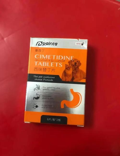 猫咪不吃不喝吐黄水,猫咪不吃不喝吐黄水怎么回事?-第3张图片-后鲨宠物 猫咪不吃不喝吐黄水,猫咪不吃不喝吐黄水怎么回事?-第3张图片-后鲨宠物