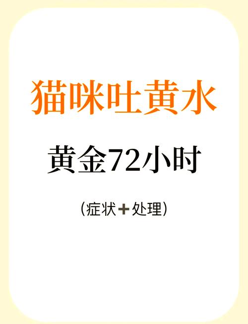 猫咪不吃不喝吐黄水,猫咪不吃不喝吐黄水怎么回事?-第4张图片-后鲨宠物 猫咪不吃不喝吐黄水,猫咪不吃不喝吐黄水怎么回事?-第4张图片-后鲨宠物