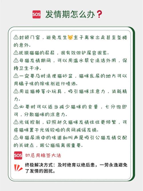 猫咪多久发情一次,猫猫多久发情期?-第2张图片-后鲨宠物 猫咪多久发情一次,猫猫多久发情期?-第2张图片-后鲨宠物
