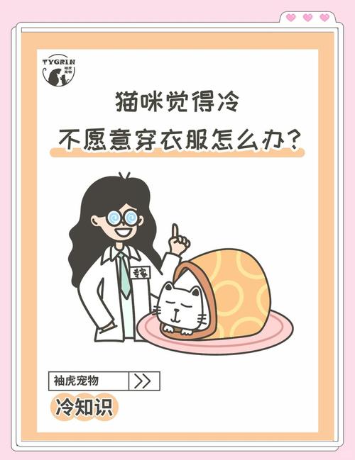 猫咪用穿衣服吗，猫咪用穿衣服吗冬天？-第3张图片-后鲨宠物
