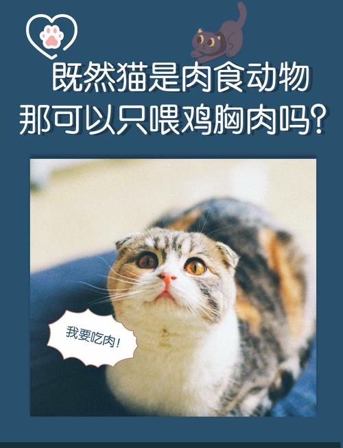 猫咪天天吃鸡肉好吗,猫咪天天吃鸡肉好吗为什么-第1张图片-后鲨宠物 猫咪天天吃鸡肉好吗,猫咪天天吃鸡肉好吗为什么-第1张图片-后鲨宠物