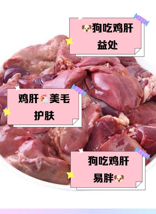 狗狗可以吃鸡皮吗,宠物狗可以吃鸡皮吗-第5张图片-后鲨宠物 狗狗可以吃鸡皮吗,宠物狗可以吃鸡皮吗-第5张图片-后鲨宠物