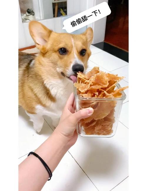 狗狗能吃零食吗_小狗能吃零食吗?