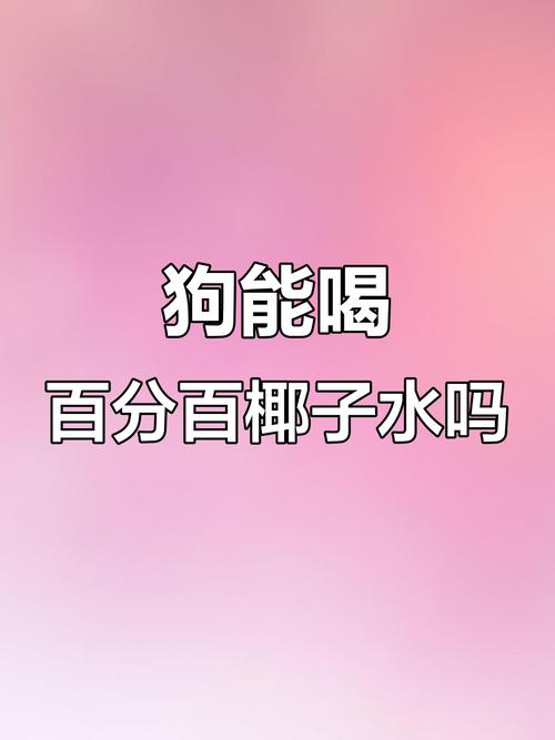 狗狗可以喝椰子水吗,狗狗可不可以喝椰子-第2张图片-后鲨宠物 狗狗可以喝椰子水吗,狗狗可不可以喝椰子-第2张图片-后鲨宠物